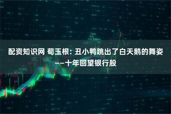 配资知识网 荀玉根: 丑小鸭跳出了白天鹅的舞姿——十年回望银行股