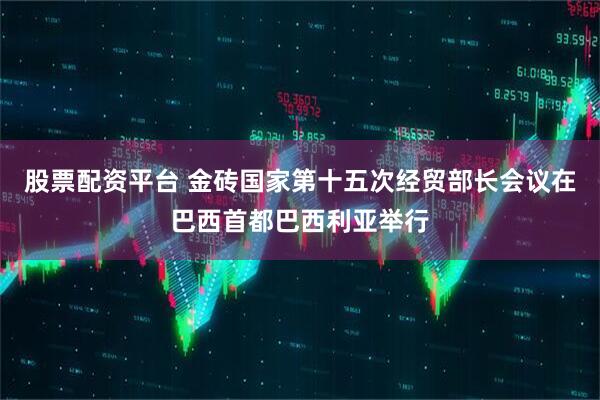 股票配资平台 金砖国家第十五次经贸部长会议在巴西首都巴西利亚举行