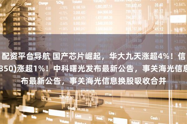 配资平台导航 国产芯片崛起，华大九天涨超4%！信创50ETF(560850)涨超1%！中科曙光发布最新公告，事关海光信息换股吸收合并